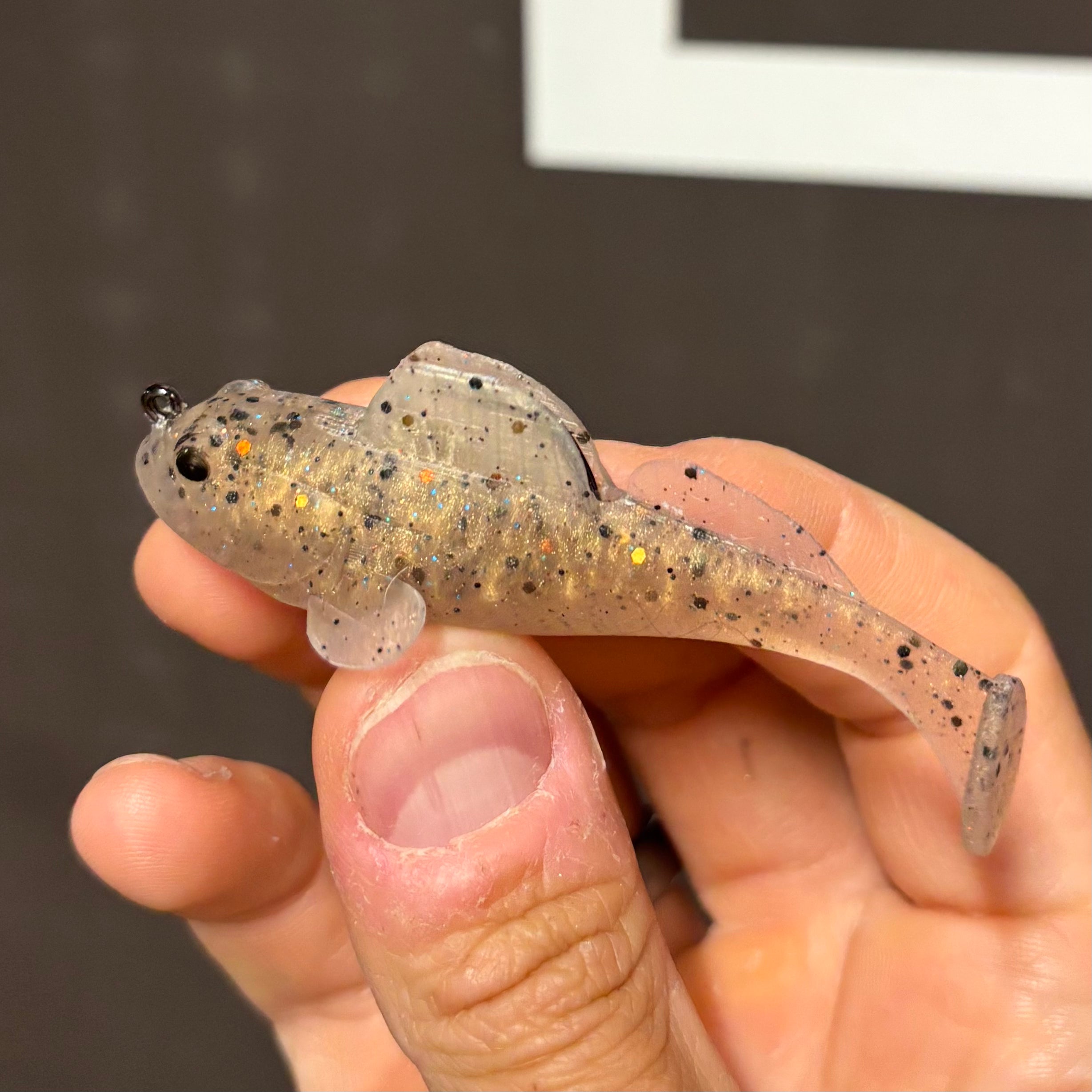 3.1" Goby