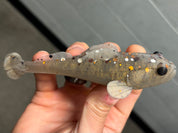 Godzilla Goby LT 6"