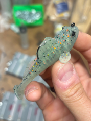 3.1" Goby
