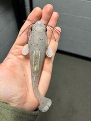 Godzilla Goby LT 6"