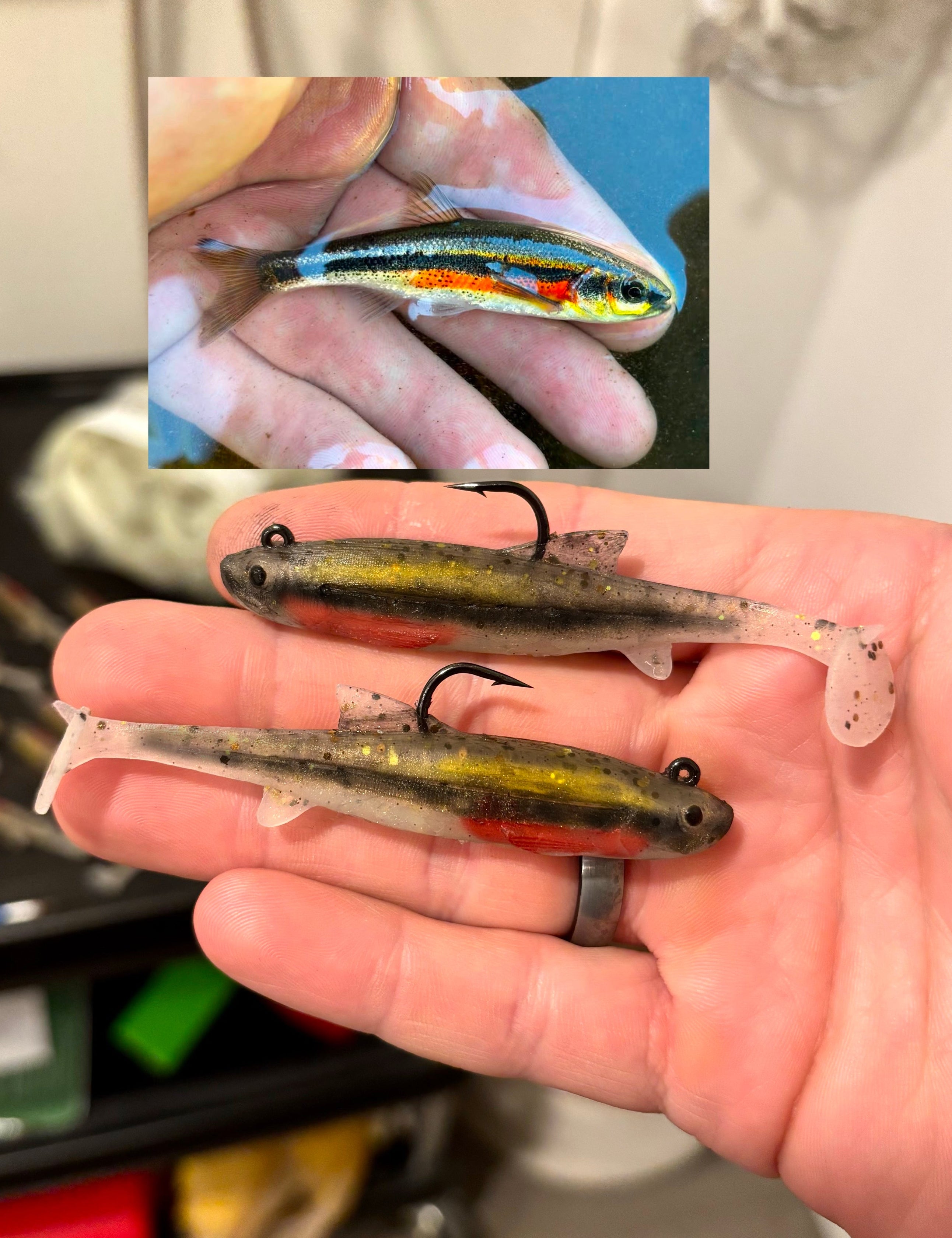 3.3" Shimmer Smelt