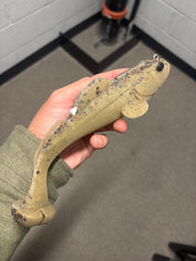 PRE-ORDER Goliath Crawler 10"