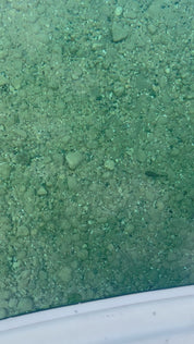 Godzilla Goby LT 5"